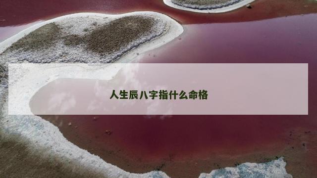 人生辰八字指什么命格