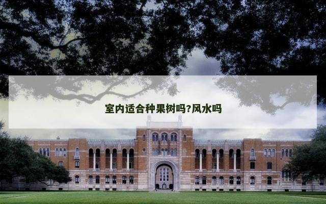 室内适合种果树吗?风水吗