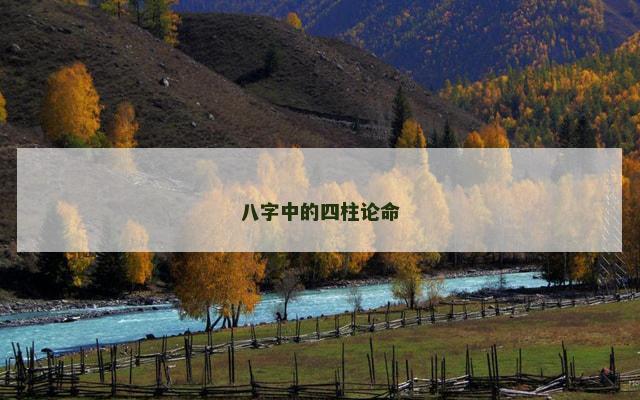 八字中的四柱论命