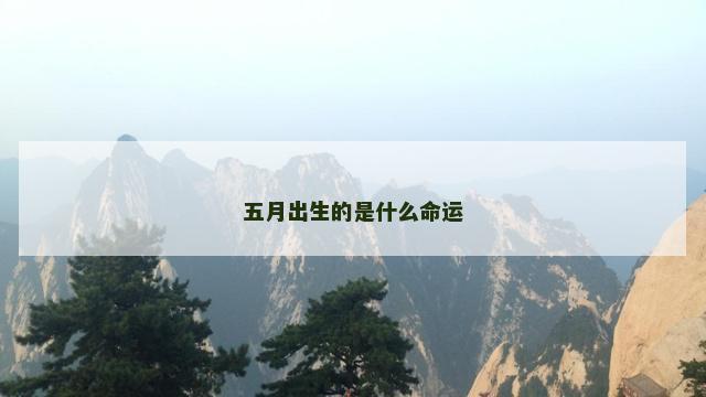 五月出生的是什么命运