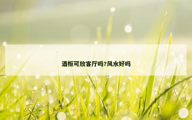 酒柜可放客厅吗?风水好吗