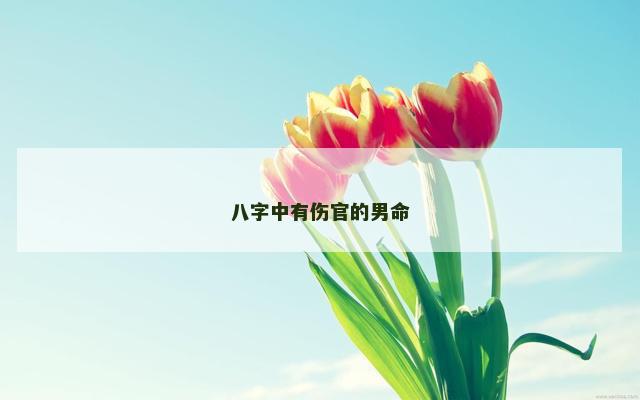 八字中有伤官的男命