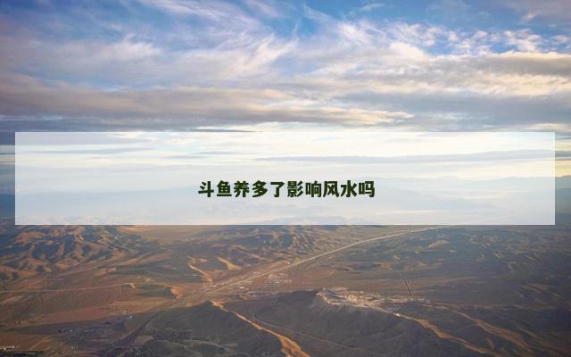 斗鱼养多了影响风水吗