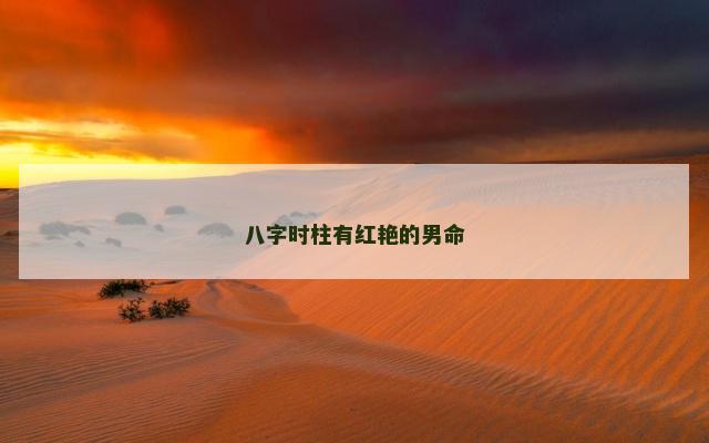 八字时柱有红艳的男命