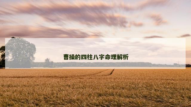 曹操的四柱八字命理解析