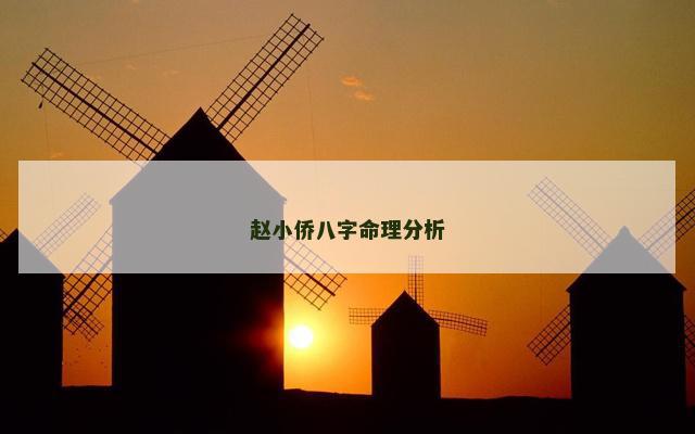 赵小侨八字命理分析
