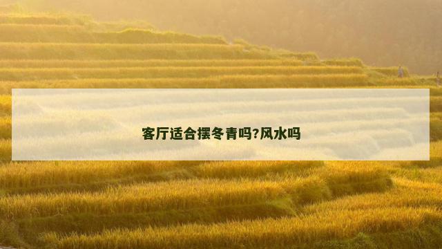 客厅适合摆冬青吗?风水吗