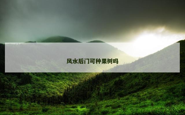 风水后门可种果树吗