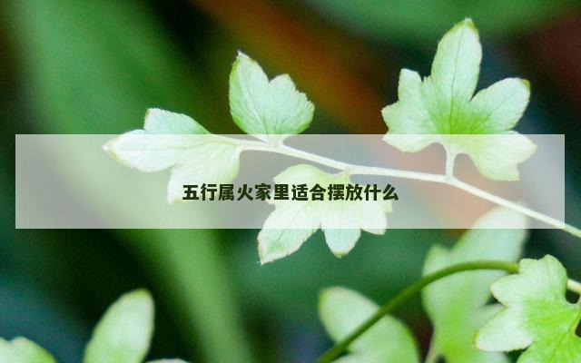 五行属火家里适合摆放什么