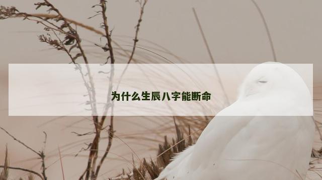 为什么生辰八字能断命