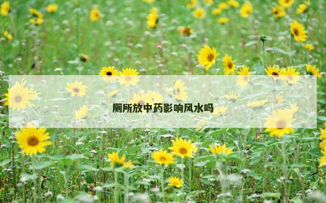 厕所放中药影响风水吗