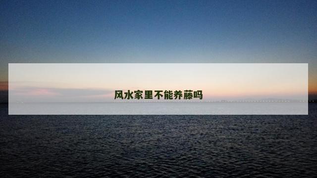 风水家里不能养藤吗