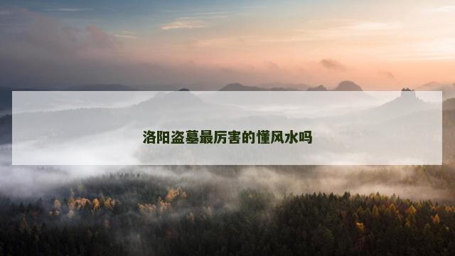 洛阳盗墓最厉害的懂风水吗