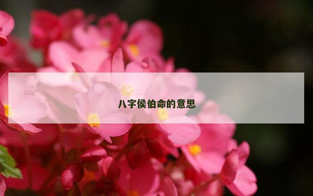 八字侯伯命的意思