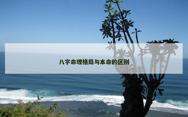 八字命理格局与本命的区别