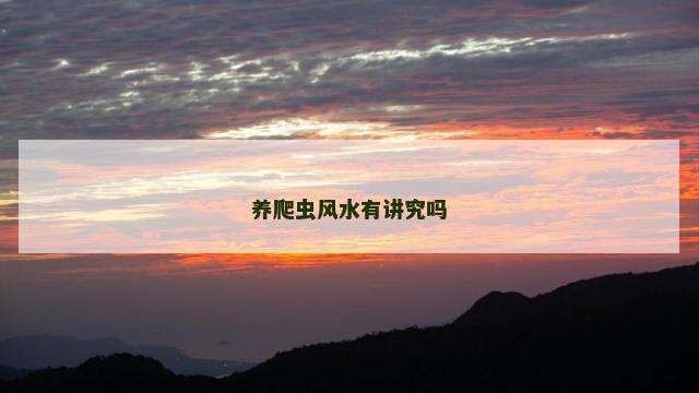养爬虫风水有讲究吗