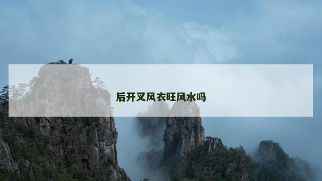 后开叉风衣旺风水吗