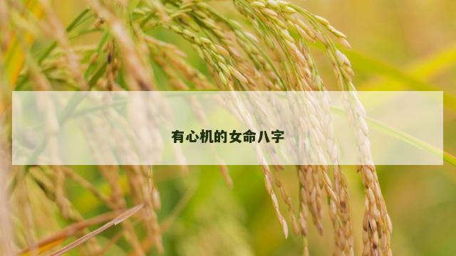 有心机的女命八字