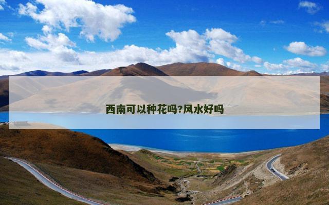 西南可以种花吗?风水好吗