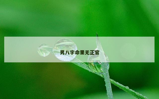 男八字命里无正官
