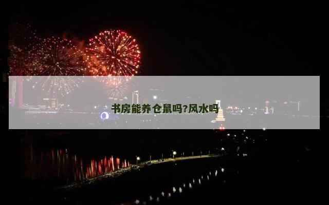 书房能养仓鼠吗?风水吗
