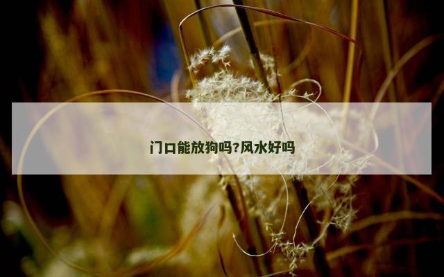 门口能放狗吗?风水好吗