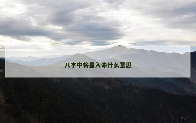 八字中将星入命什么意思