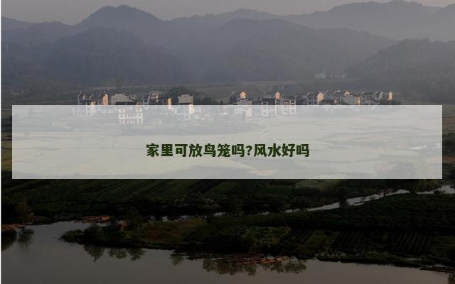 家里可放鸟笼吗?风水好吗