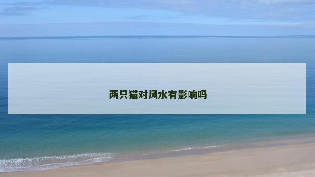两只猫对风水有影响吗