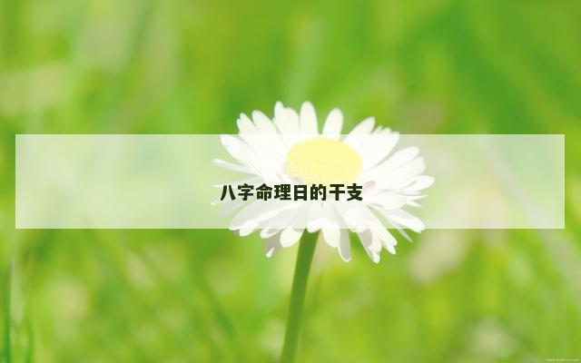 八字命理日的干支
