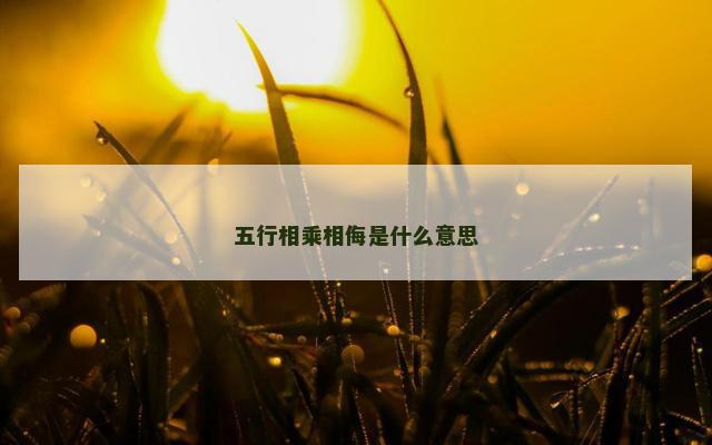 五行相乘相侮是什么意思