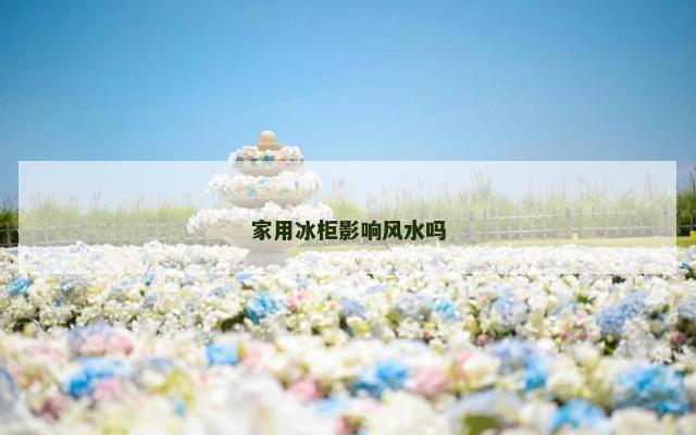 家用冰柜影响风水吗
