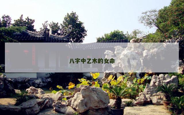 八字中乙木的女命