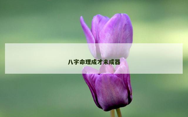 八字命理成才未成器