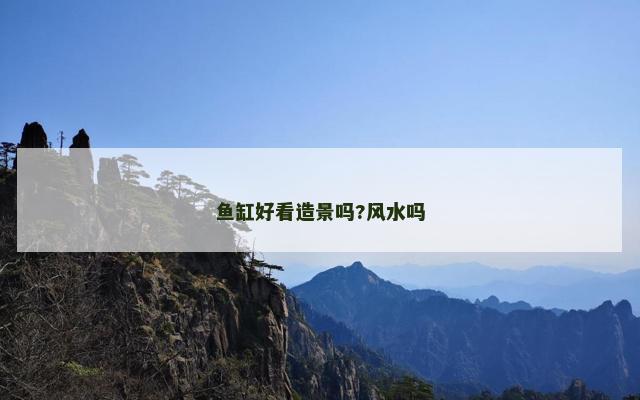 鱼缸好看造景吗?风水吗