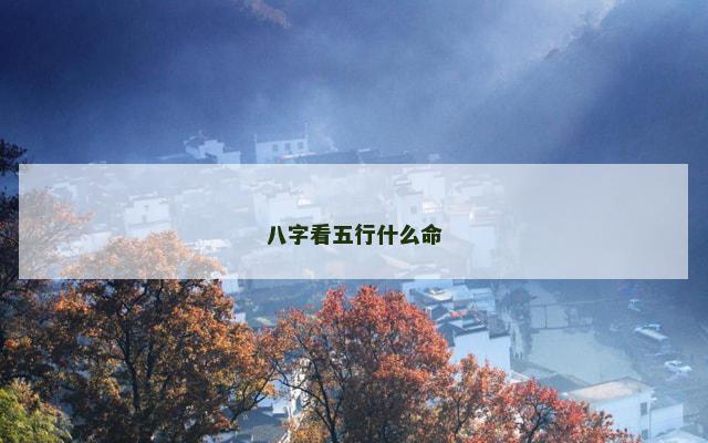八字看五行什么命