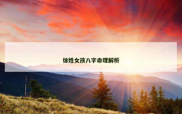 徐姓女孩八字命理解析
