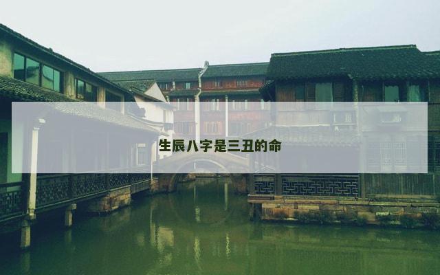 生辰八字是三丑的命