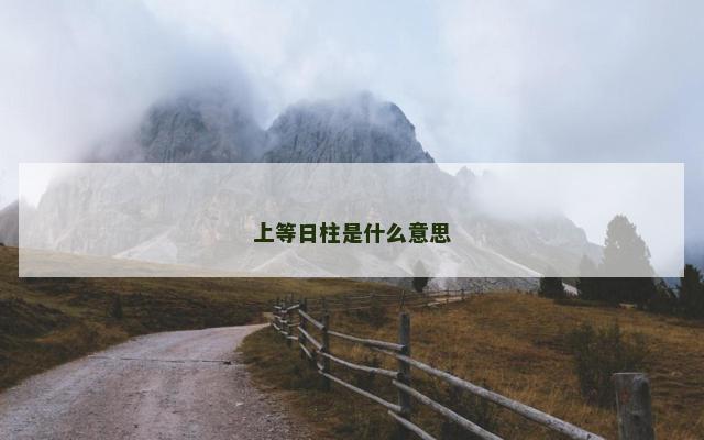上等日柱是什么意思