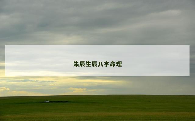 朱辰生辰八字命理