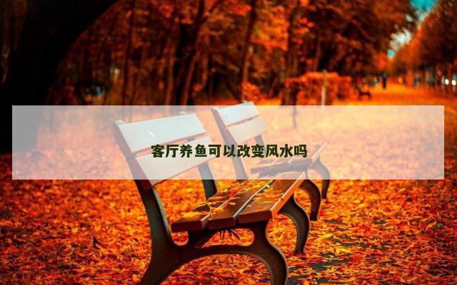 客厅养鱼可以改变风水吗