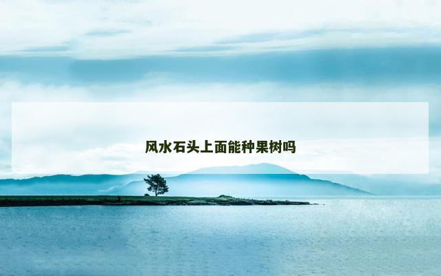 风水石头上面能种果树吗