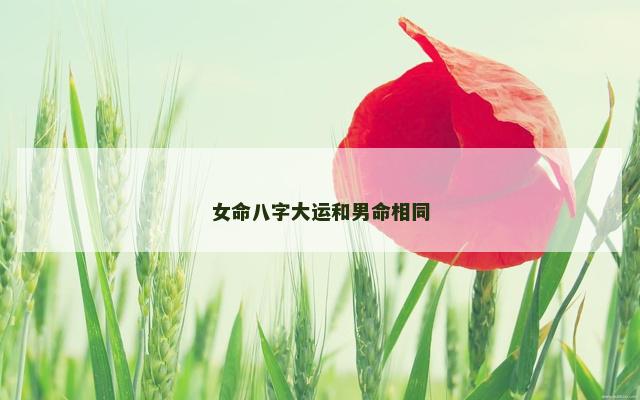 女命八字大运和男命相同