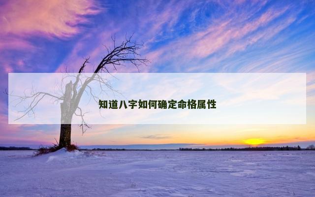 知道八字如何确定命格属性