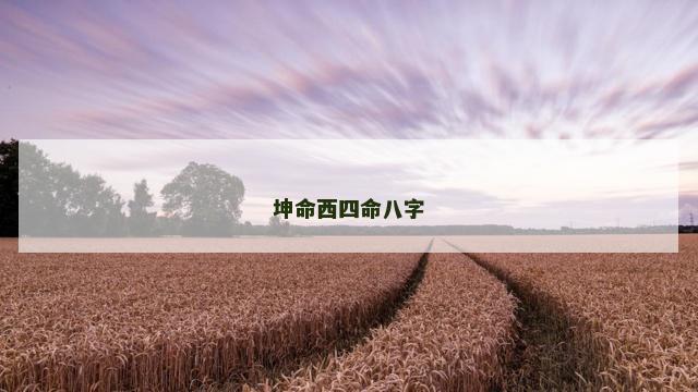 坤命西四命八字
