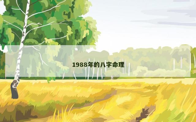 1988年的八字命理