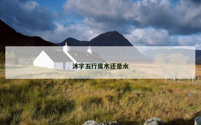 沐字五行属木还是水
