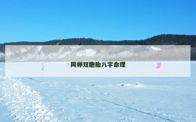 同卵双胞胎八字命理