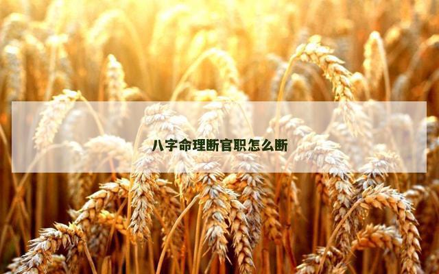 八字命理断官职怎么断