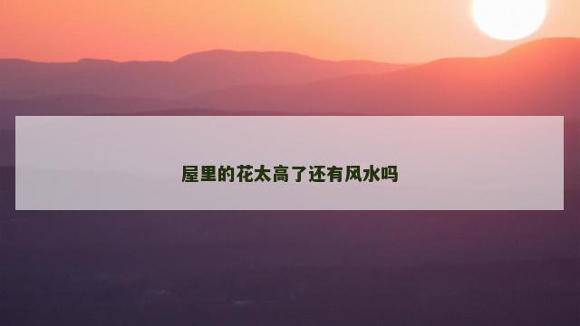 屋里的花太高了还有风水吗
